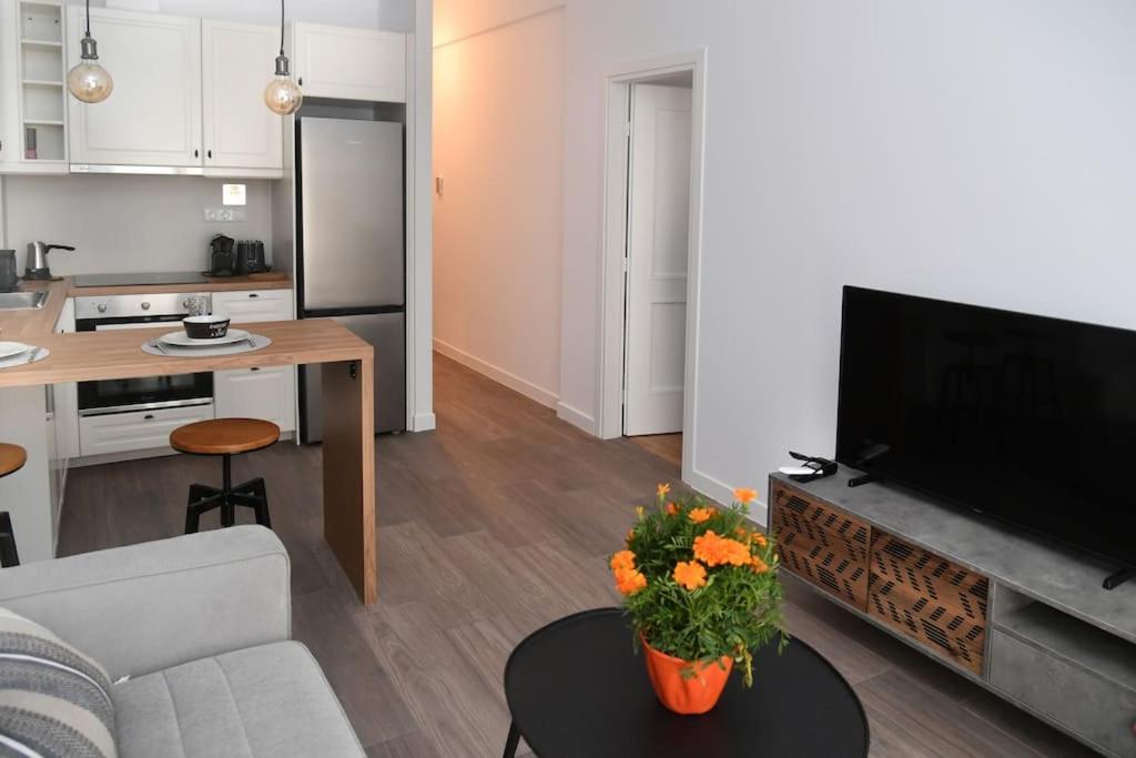 Appartement Modern In Ipitou, Plaka